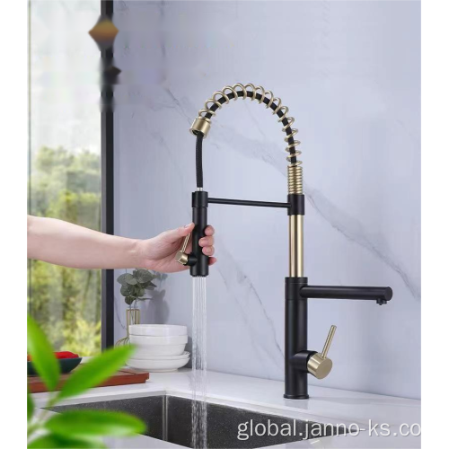 Pull Out Spring Neck Taps Spring Pull Type Stainless Steel Faucet Mixer Supplier